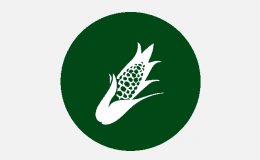 Biotisierung von Saatgut für Nährstoffmanagement, Humusaufbau und CO2-Bindung im Mais &#40;BioSeed&#41;