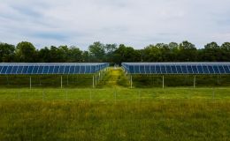 Agrophotovoltaik - Kräuteranbau unter Photovoltaikanlagen