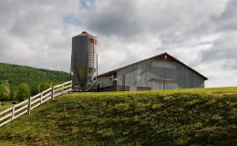 Broilermaststall 2023 - Ein Musterhaus für Masthühner