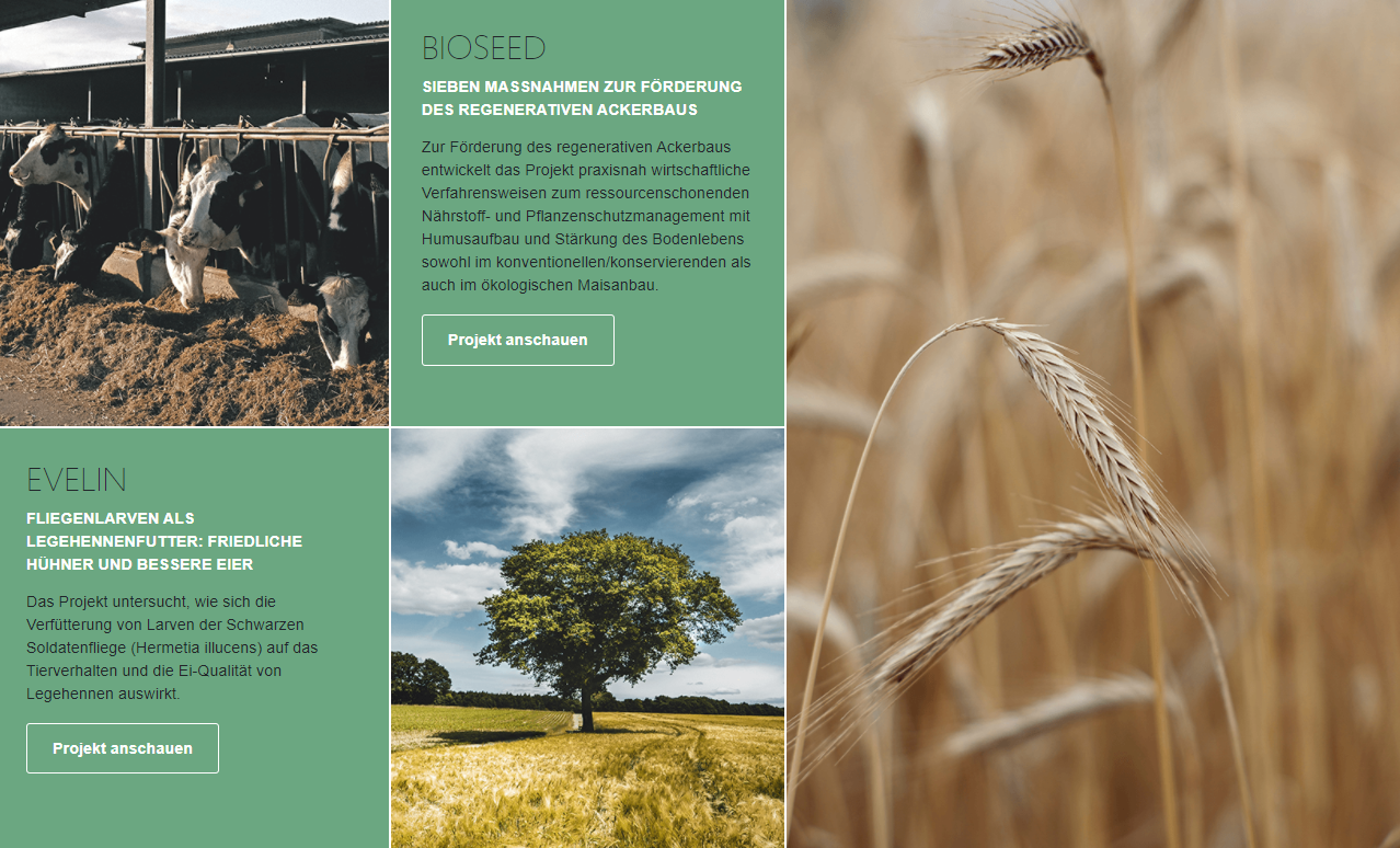 Neue Broschüre zu landwirtschaftlichen Innovationsprojekten aus Niedersachsen