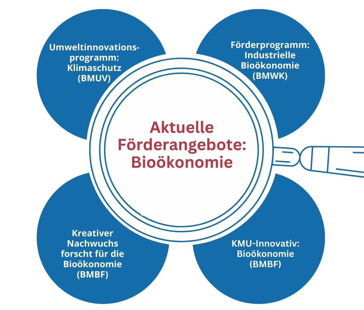 Aktuelle Förderprogramme für die Bioökonomie – Ein Überblick