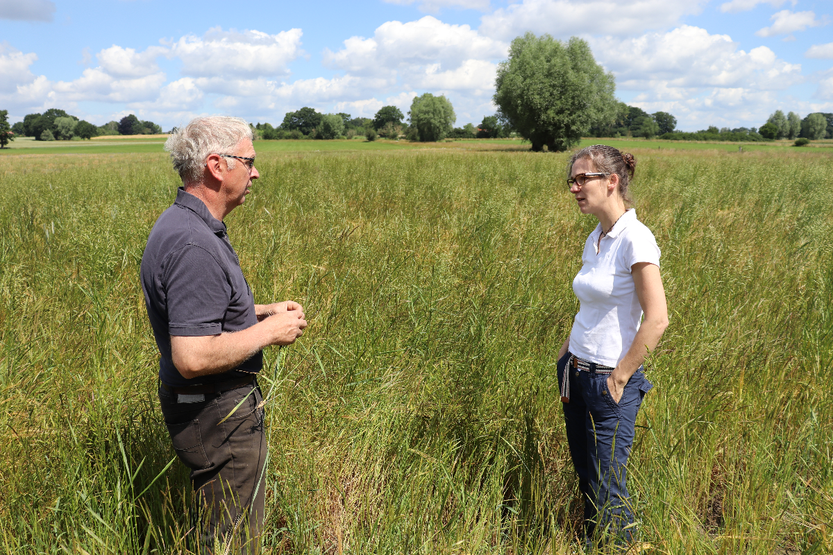 Landwirt Friedel Könecke aus Isernhagen stellt sein Weizenfeld zur Verfügung, um die Laserunkrautbekämpfung zu erproben. Hier im Gespräch mit der Projektleiterin des LZH Dr. Merve Wollweber. (Foto: LZH) Landwirt Friedel Könecke aus Isernhagen stellt sein Weizenfeld zur Verfügung, um die Laserunkrautbekämpfung zu erproben. Hier im Gespräch mit der Projektleiterin des LZH Dr. Merve Wollweber. (Foto: LZH)